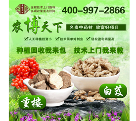 农博天下
